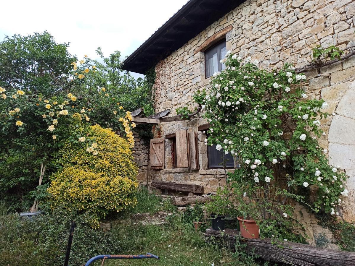 Casa Rural Ttipiaenea Landetxea Ariz  Exteriör bild