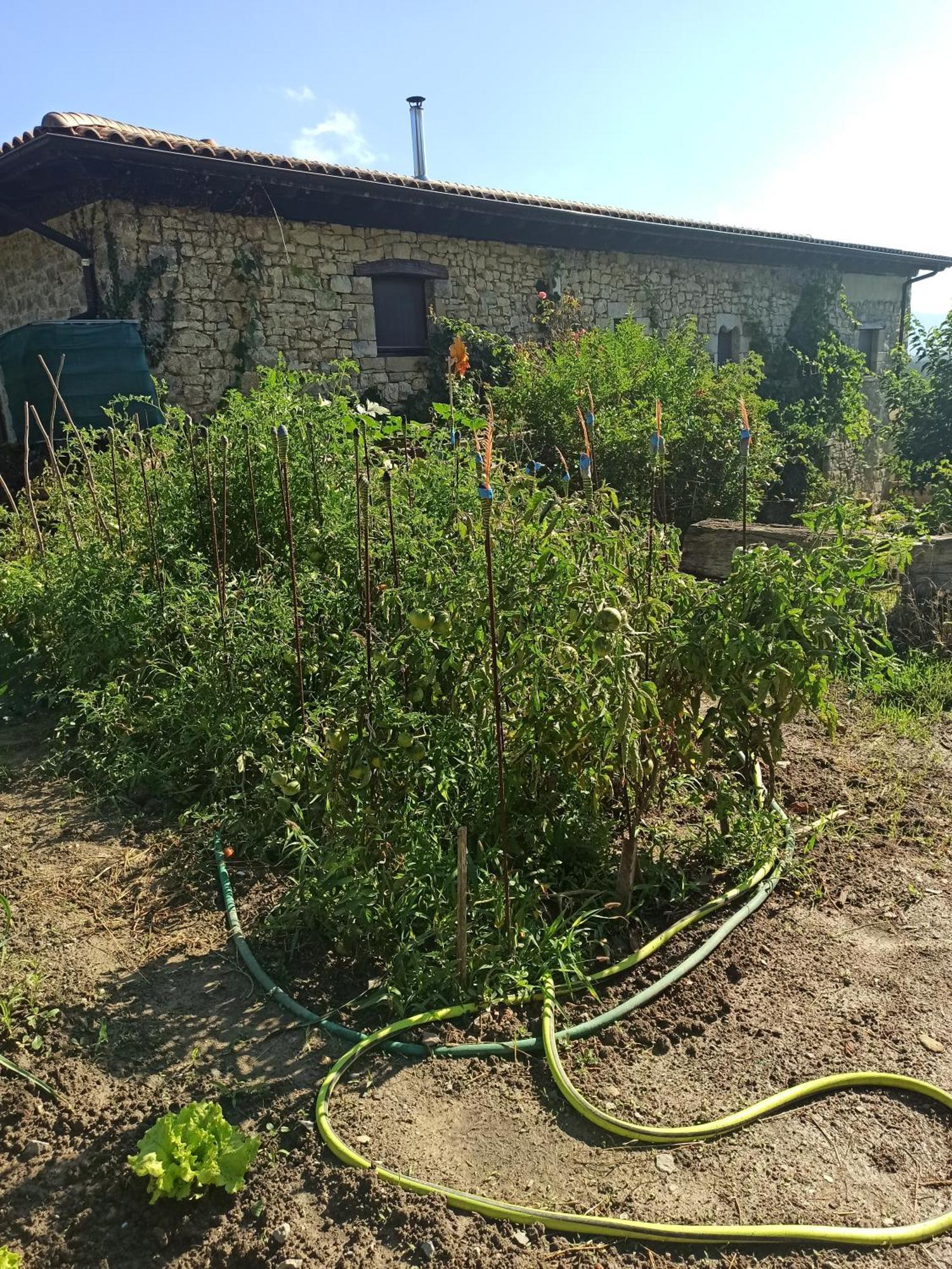 Casa Rural Ttipiaenea Landetxea Ariz  Exteriör bild