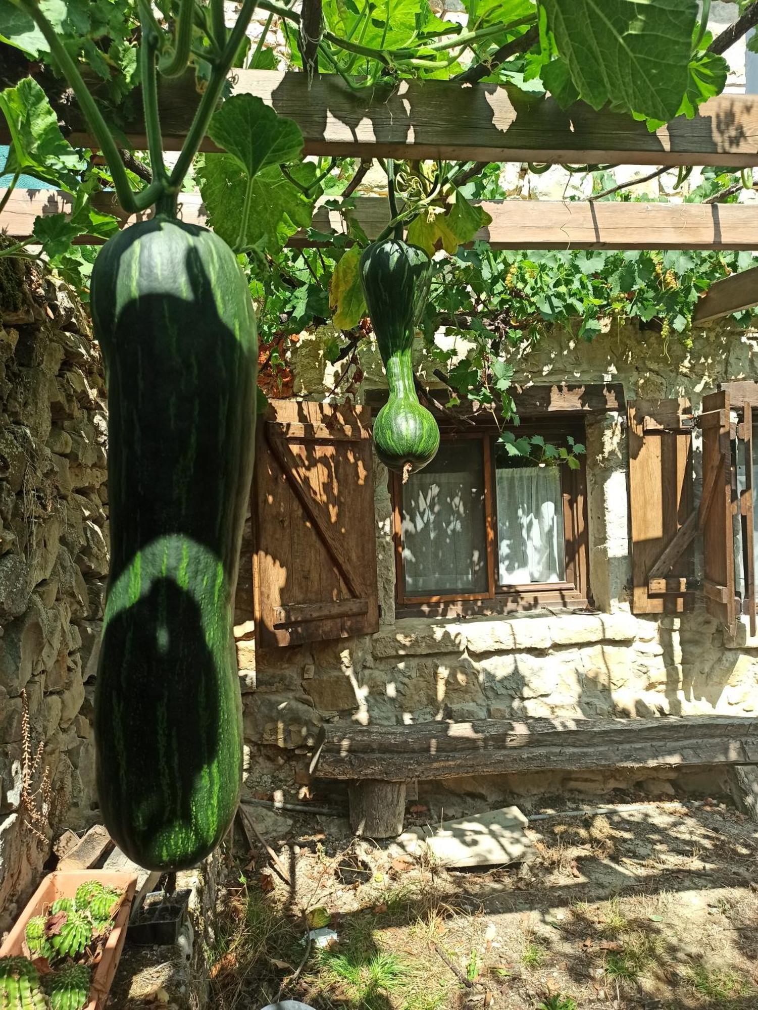 Casa Rural Ttipiaenea Landetxea Ariz  Exteriör bild